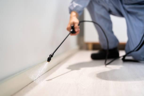 Professional exterminator conducting IPM assessment in Astoria